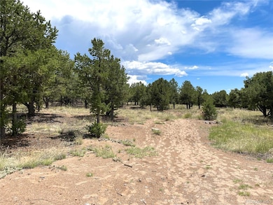 Tract 6 PHILLEO ANNE S Hemlock St, Crestone, CO 81131 - photo 2