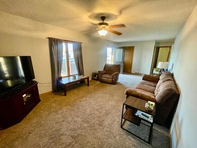 301 E 1st St, Adrian, MN 56110 - photo 5