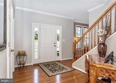 567 Rivanna Run, Falling Waters, WV 25419 - photo 3