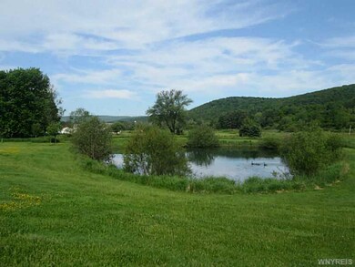 Backyard. Pond