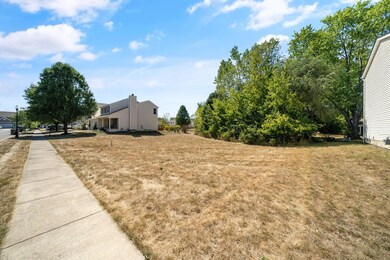 45-web-or-mls-DSC00369