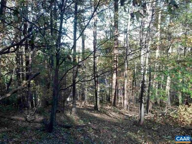 1450 Crawfords Climb unit RODES VALLEY FOOTHIL, Nellysford, VA 22958 - photo 5