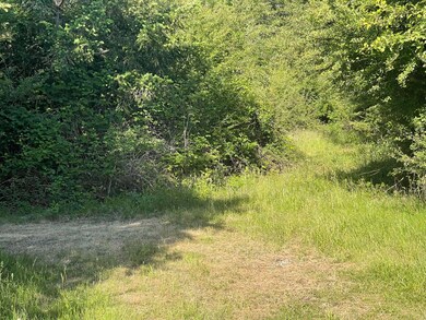 IMG_8201