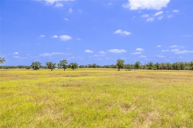 2901-C Mule Creek Rd, Harwood, TX 78632 - photo 3