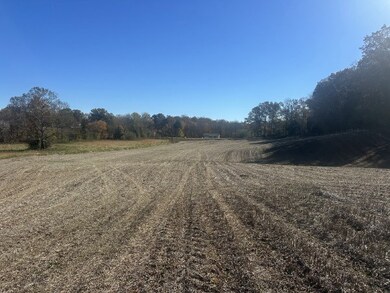 0 Old Kentucky Rd, Sparta, TN 38583 - photo 2