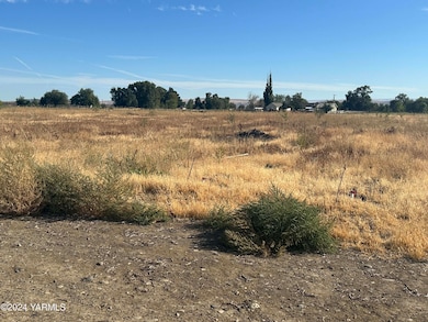 NKA Branch Rd, Toppenish, WA 98948 - photo 7