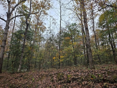 R22961 County Road 2150, Colmesneil, TX 75979 - photo 3