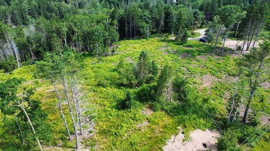 dji_fly_20240713_153948_882_172091594586