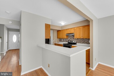 4313 Dana St, Baltimore, MD 21229 - photo 3