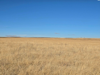 NKA N, Prosser, WA 99350 - photo 4