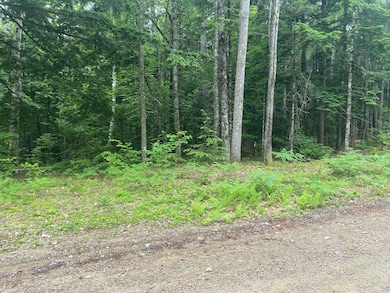 Lot 24