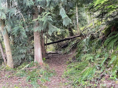 2800 Freestad Rd, Stanwood, WA 98292 - photo 3