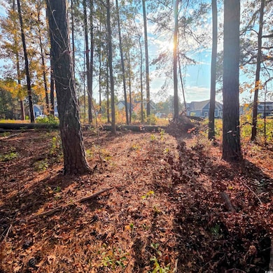 616 McCown Dr, Conway, SC 29526 - photo 4