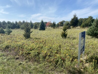 South Lot 2