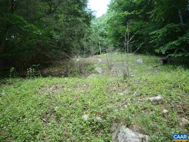 0 Zinks Mill School Rd unit 564867, Montebello, VA 24464 - photo 3