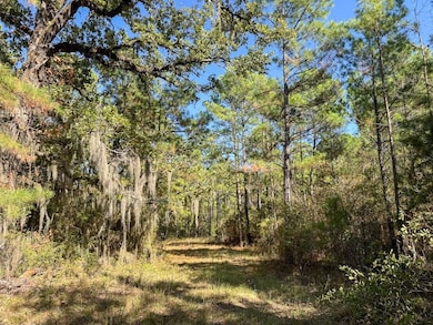 Rosenwall Rd, Huntsville, TX 77320 - photo 5