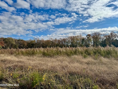 180 Asbury Rd, Cove City, NC 28523 - photo 5