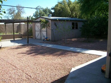 backyard1
