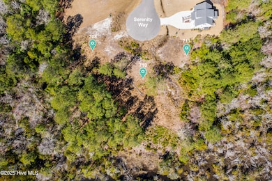 DJI_0151p