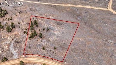 403 Jasper Way, Hartsel, CO 80449 - photo 3