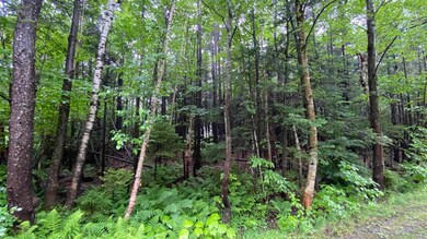 Lot 17 Village Rd E, Wilmington, VT 05363 - photo 2