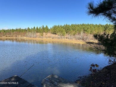 pond from the dock