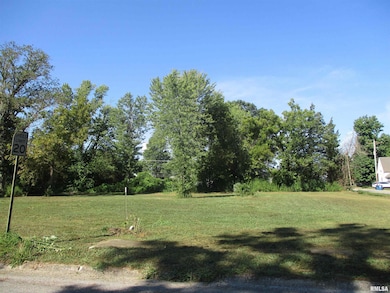 0000 Buchanan St, Benton, IL 62812 - photo 7