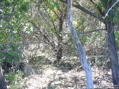 26026 Dull Knife Trail, San Antonio, TX 78255 - photo 6