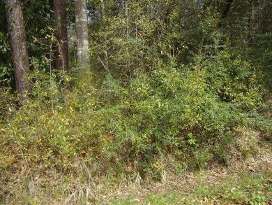 LOT 70 Hermina St, Slidell, LA 70460 - photo 3