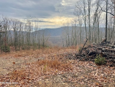 183 Persimmon Ln, Pioneer, TN 37847 - photo 3