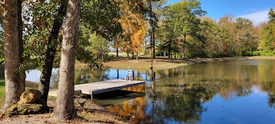 3918 N Saint Marie Rd, Olney, IL 62450 - photo 6