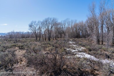 _TLD5629