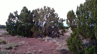 IMG_20160622_194555764