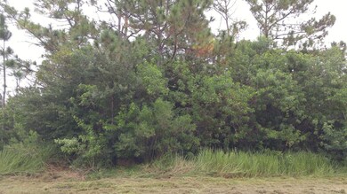 Wooded Lot = Privacy