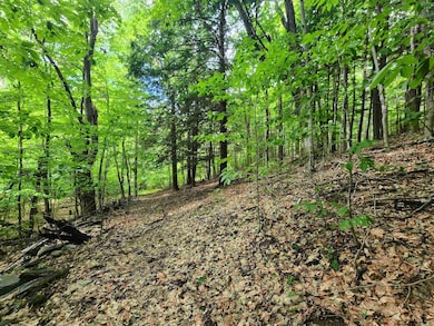 00 Eaton Ave, Springfield, VT 05156 - photo 6