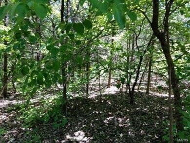 10 Watts Acres Rd, Robertsville, MO 63072 - photo 4