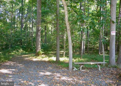 0 Palmyra Church Rd unit VASH120458, Edinburg, VA 22824 - photo 4