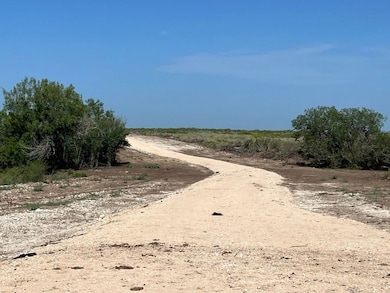 44 Ranch North Tract 21, Rosita, TX 78384 - photo 6