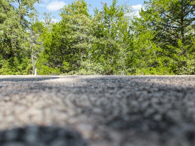 Lot 90773 Milam Ln, Bastrop, TX 78602 - photo 7