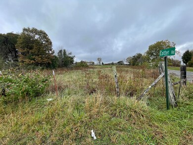 IMG_3259