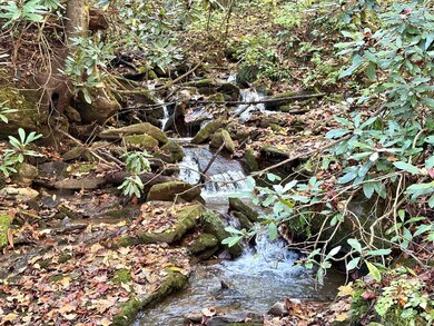 701 Treehouse Rd, Whittier, NC 28789 - photo 5