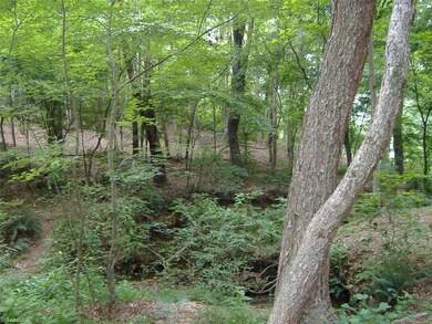 1004 Foggy Mountain Rd, Asheboro, NC 27205 - photo 5