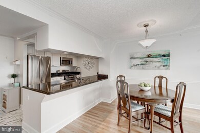 The Williamsburg unit 502, Arlington, VA 22201 - photo 7