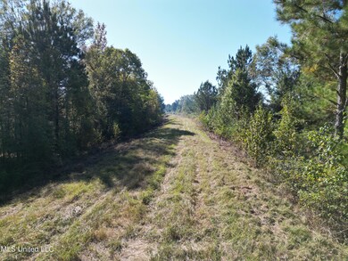 1844 Swamp Rd, Carthage, MS 39051 - photo 4