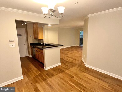 3313 Sir Thomas Dr unit 23, Silver Spring, MD 20904 - photo 7