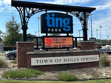 121 Cobalt Creek Way, Holly Springs, NC 27540 - photo 5