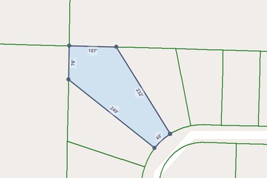 CRS Data - Property Map for W Michaelang