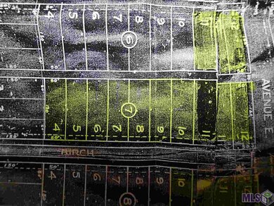 Lot 10, Block 7 Birch Ln, Grand Isle, LA 70358 - photo 3