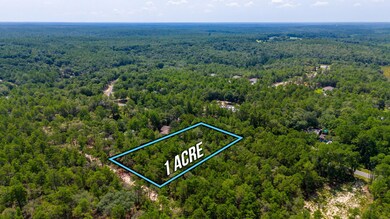 7-web-or-mls-Via Internacional Aerial-6