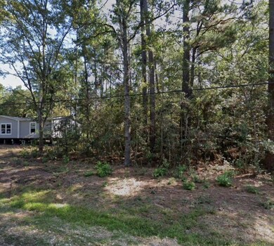 0 Walnut Dr, Montgomery, TX 77356 - photo 6